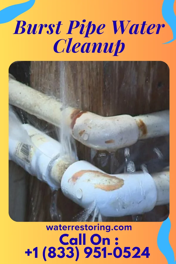 Burst Pipe Water Cleanup in St. Hilaire, MN